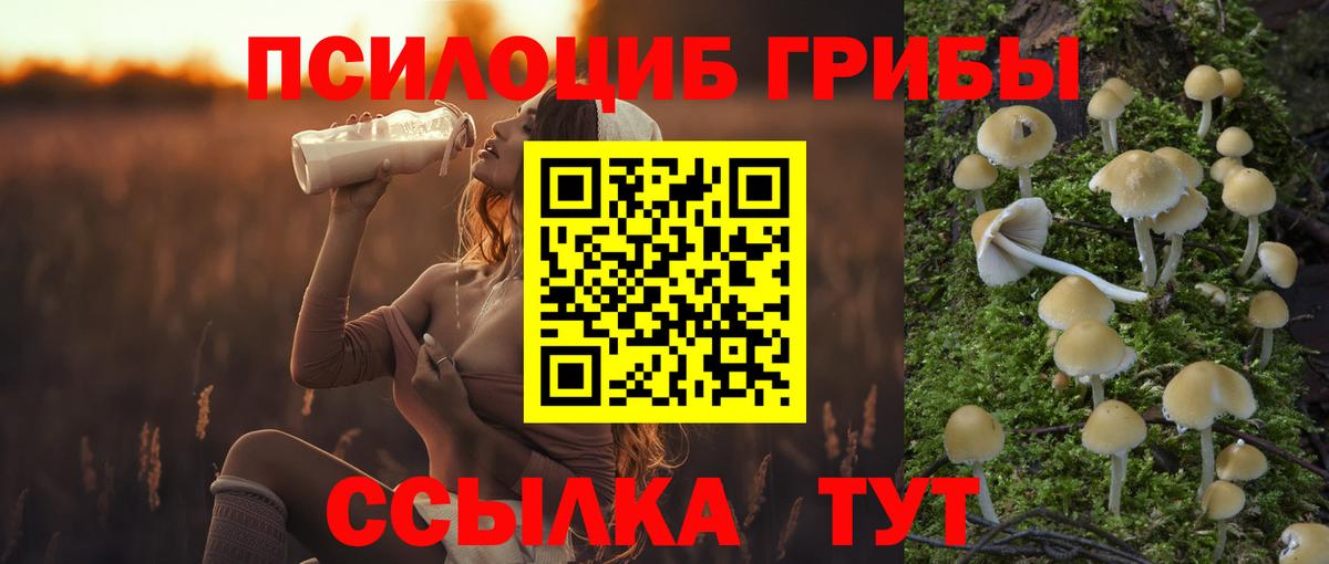 продажа наркотиков  Вход с VPN  Выкса  Галлюциногенные грибы мицелий  Псилоцибиновые грибы мухоморы 